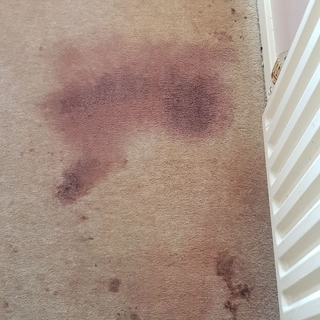Blood stained carpet