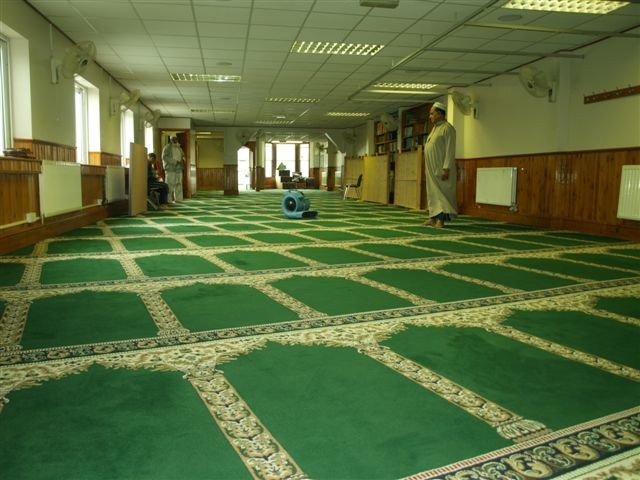 Carpet cleaning - large green