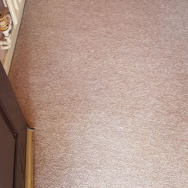 carpet cleaned blood stain gone